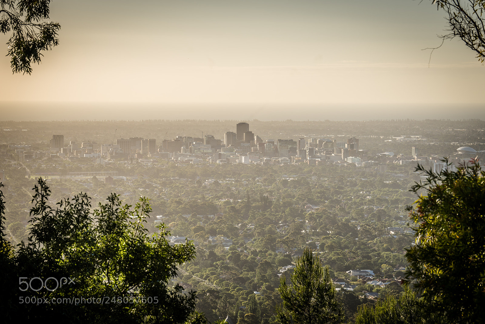Nikon D600 sample photo. Adelaide photography
