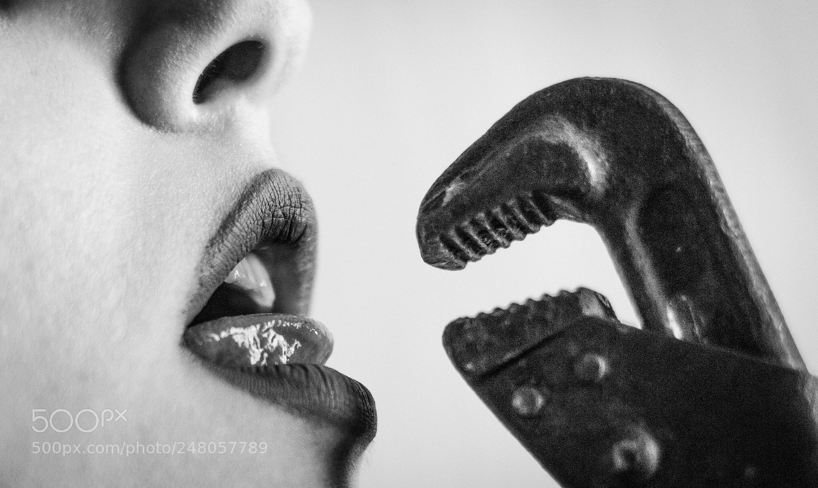 Canon EOS 100D (EOS Rebel SL1 / EOS Kiss X7) sample photo. Kiss of steel 1 photography