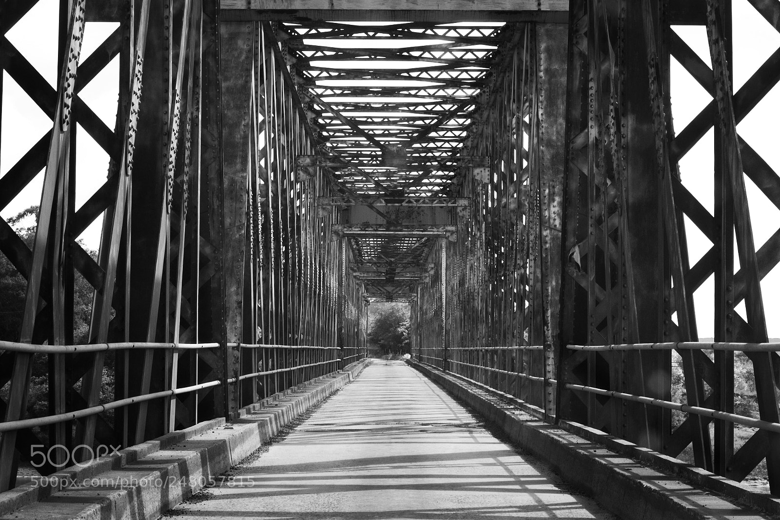 Canon EOS 80D + Canon EF 50mm F1.8 STM sample photo. Bridge photography