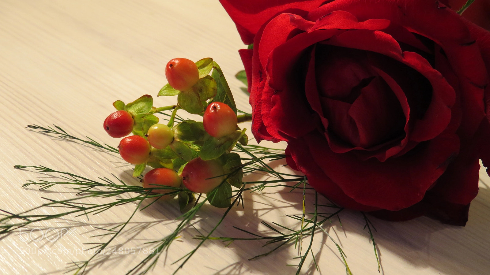 Canon PowerShot SX50 HS sample photo. Together photography