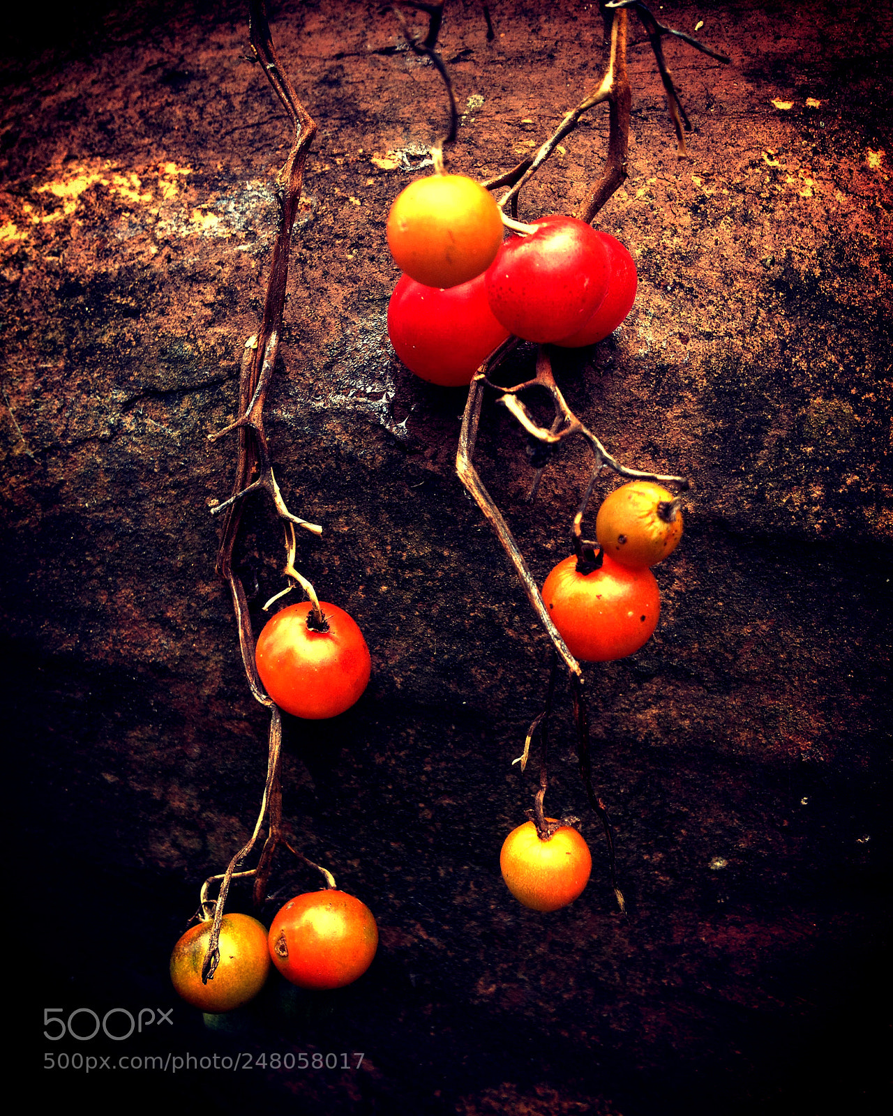 Apple iPhone 4S sample photo. Tomates. brsil photography