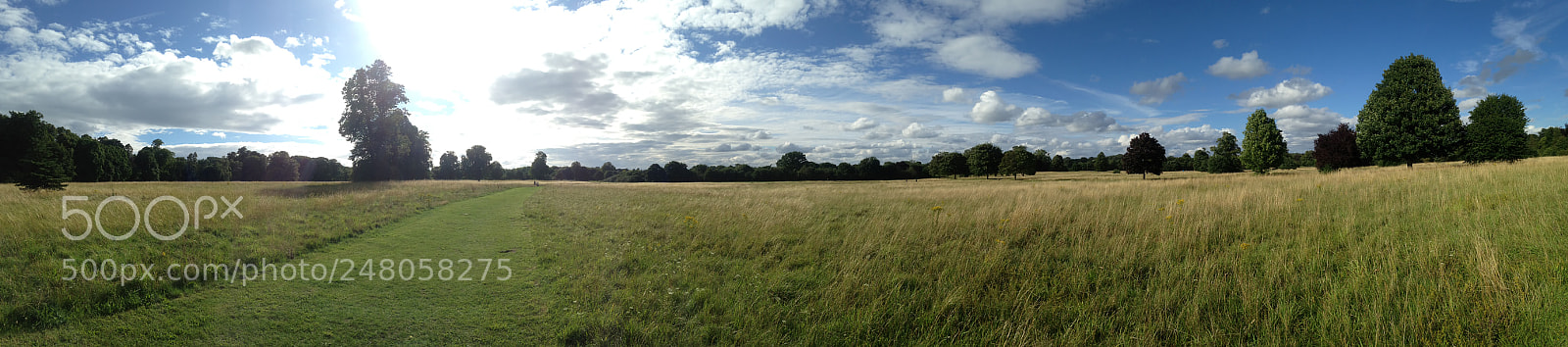 Apple iPhone 5c sample photo. Nonsuch park, sutton photography