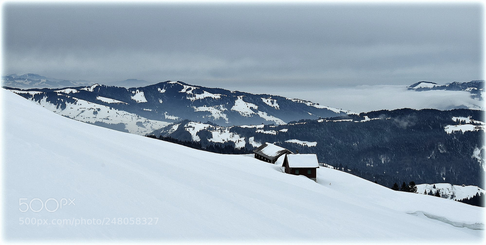 Nikon D810 sample photo. "view" photography
