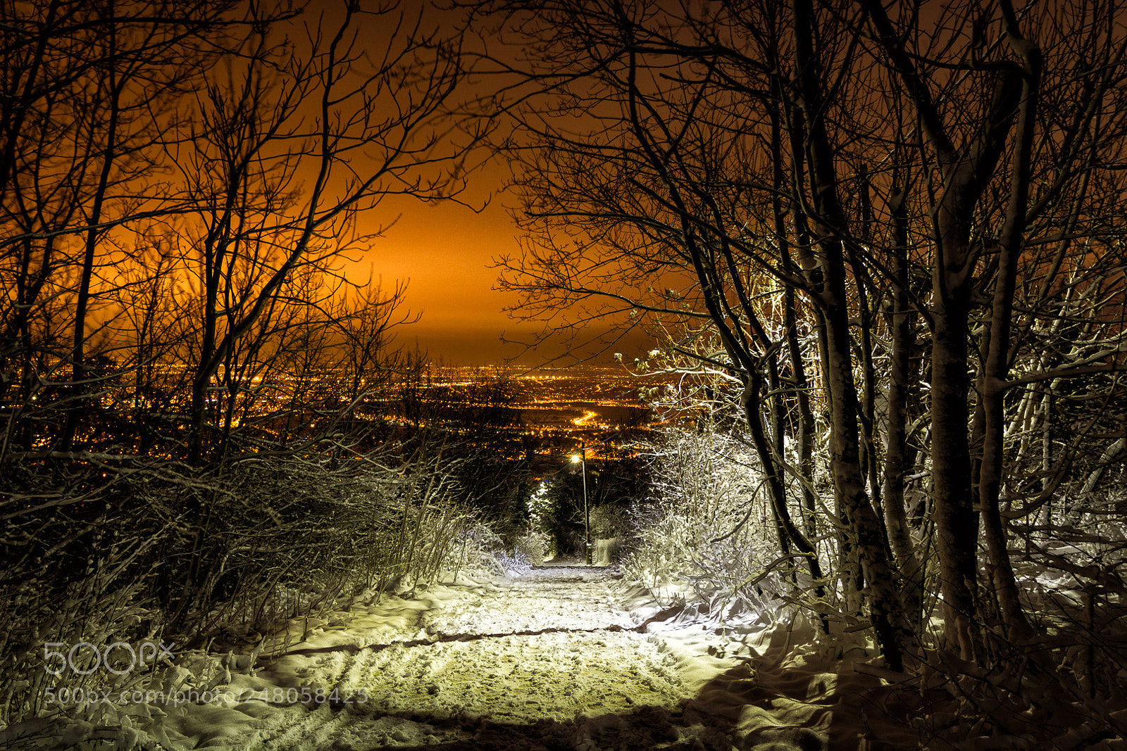 Nikon D7100 sample photo. Budaörs in winter photography