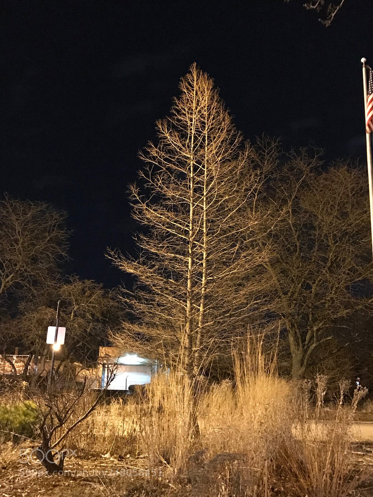 Apple iPhone 7 sample photo. Scenes from an evening photography