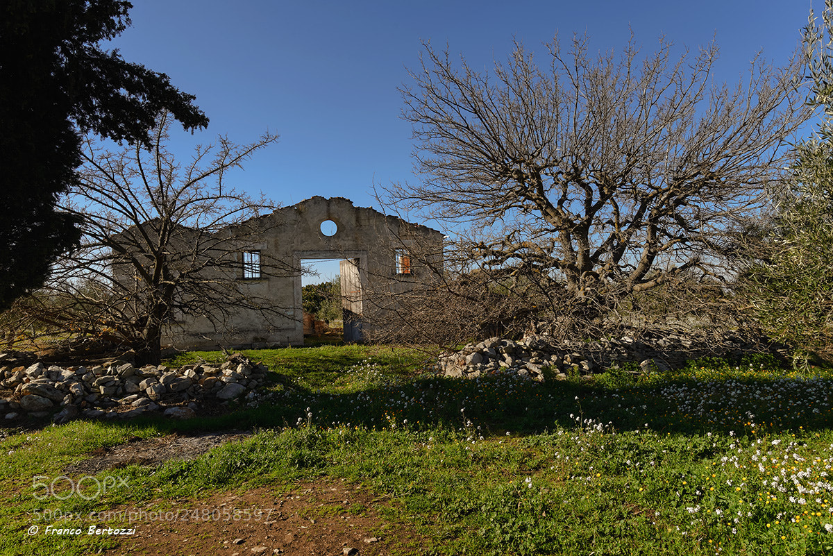 Nikon D610 sample photo. Old farmhouse photography