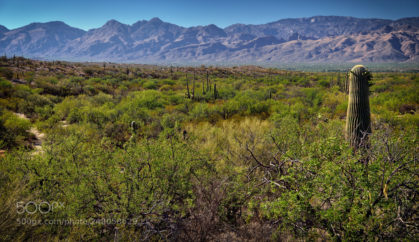 Nikon D800E sample photo. A wide open expanse photography