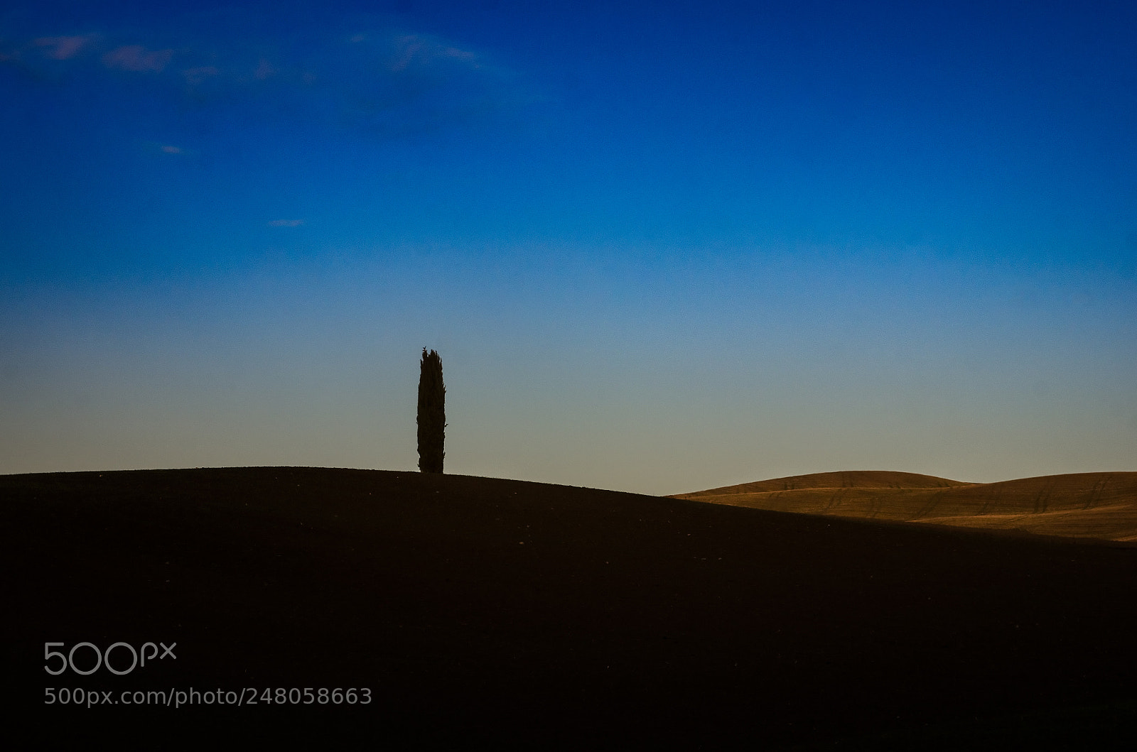 Pentax K-5 sample photo. The lonely cypress photography