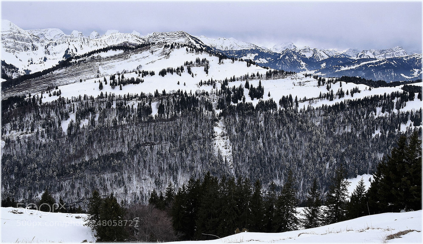 Nikon D810 sample photo. "landscape" photography