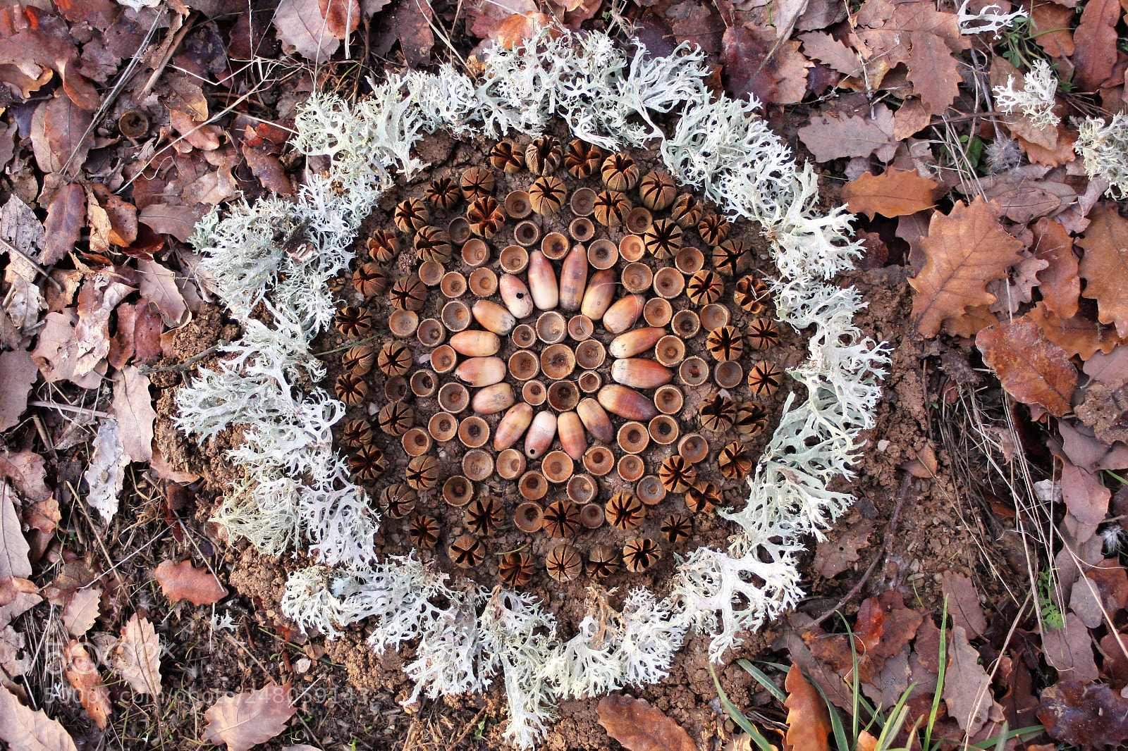 Canon EOS 40D sample photo. Winter ;mandala photography