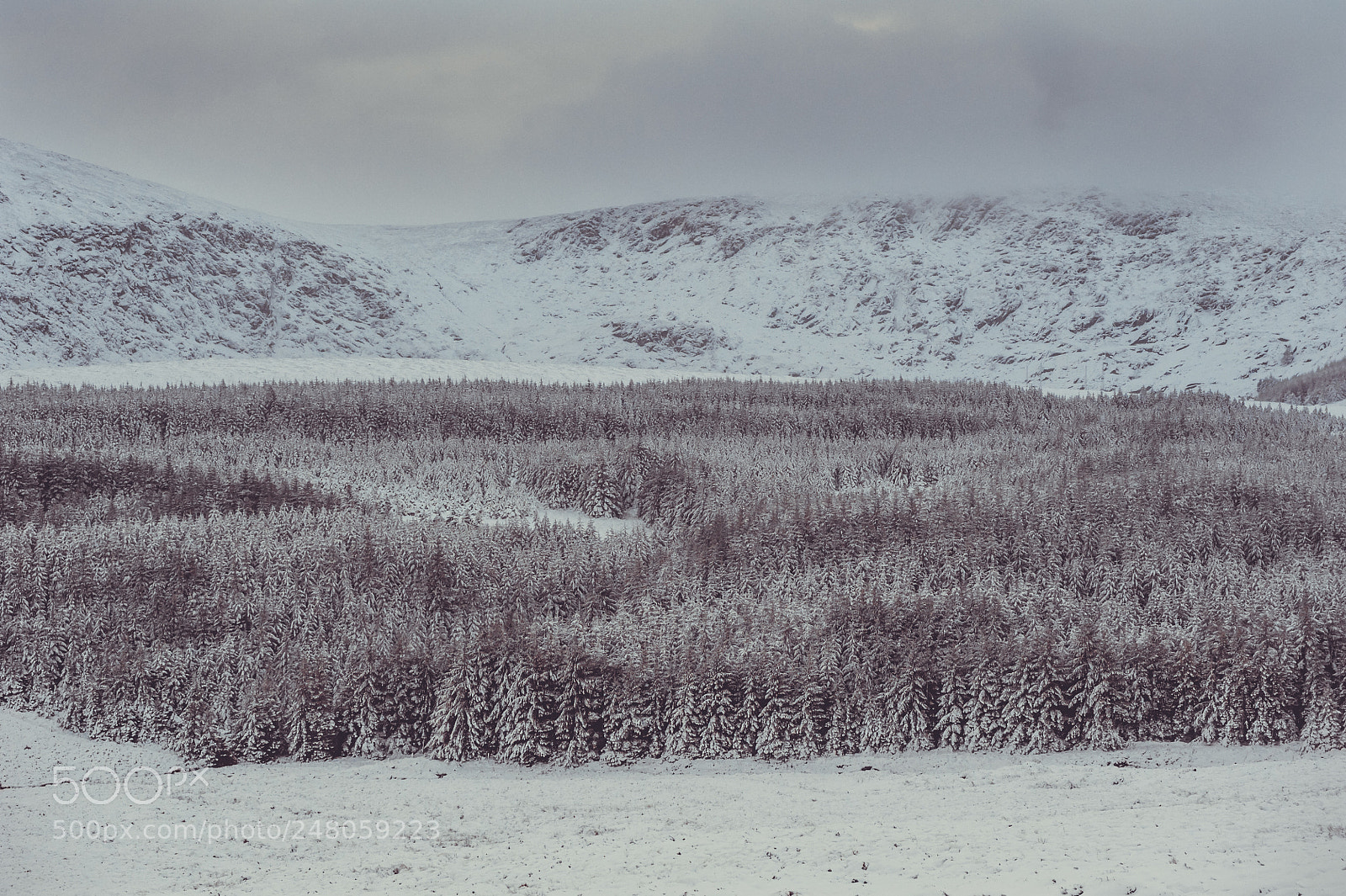 Nikon D700 sample photo. Wicklow gap photography