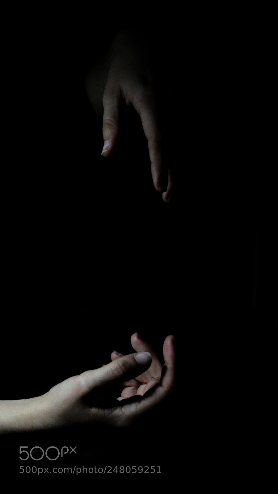 Nikon D3100 sample photo. Armonia. photography
