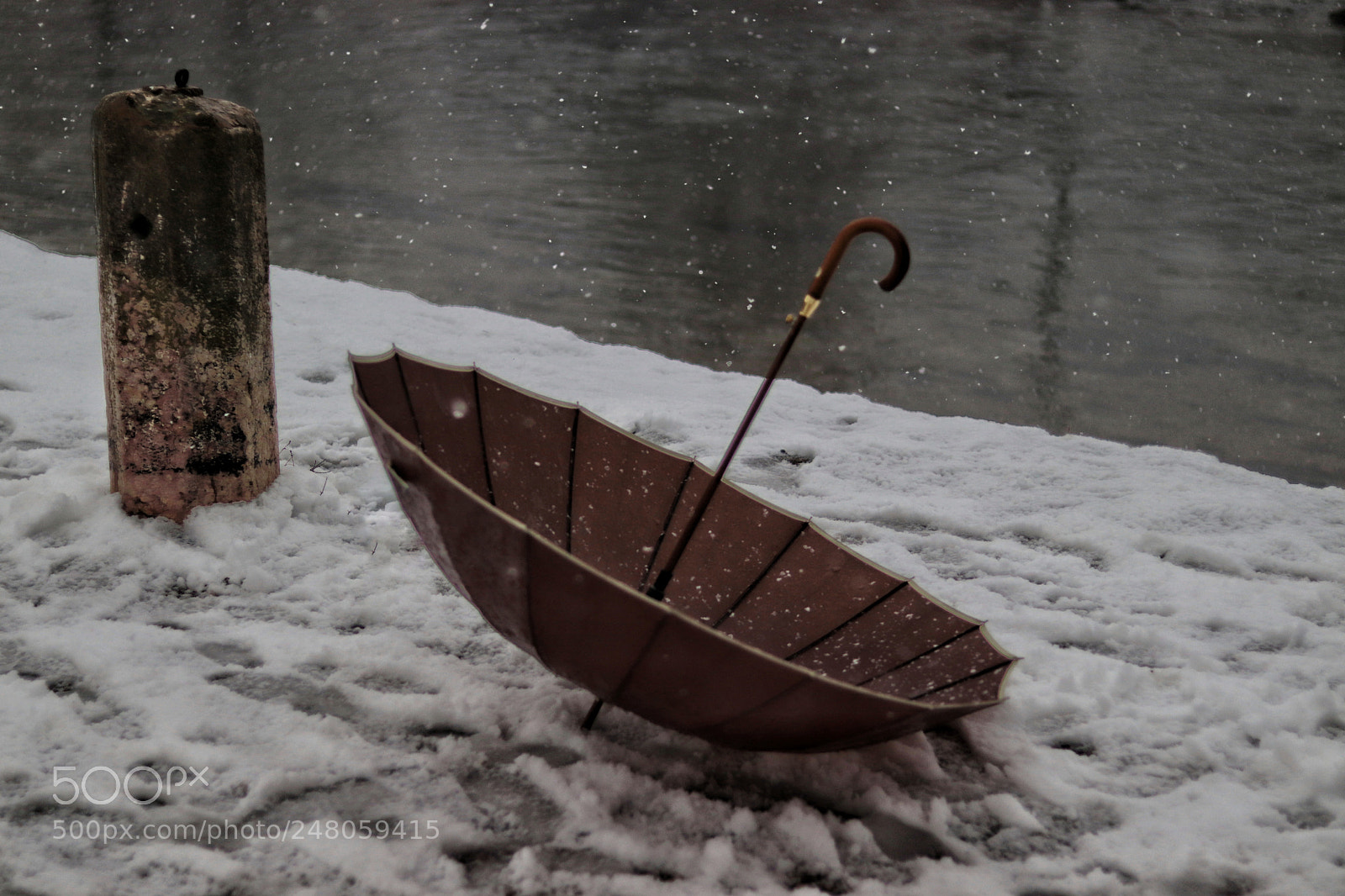 Canon EOS 77D (EOS 9000D / EOS 770D) sample photo. Sotto la neve photography