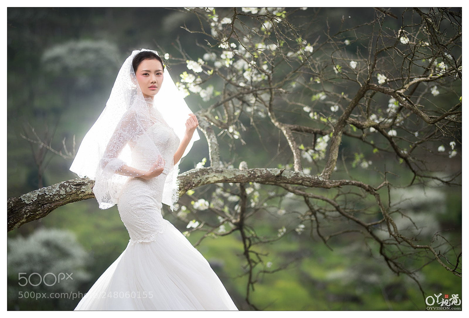 Nikon D810 sample photo. Untitled photography