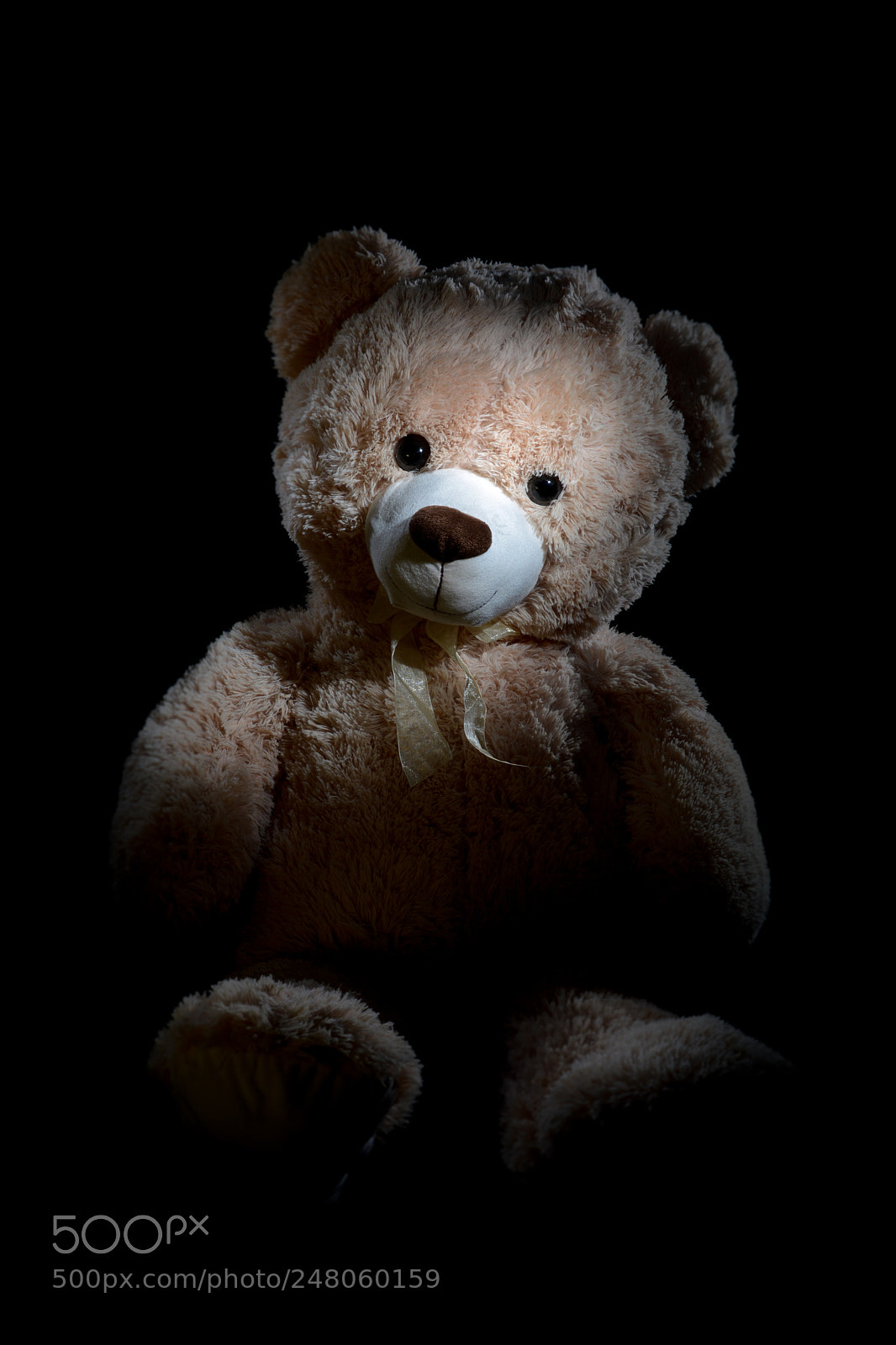 Nikon D7100 sample photo. Tender bear photography