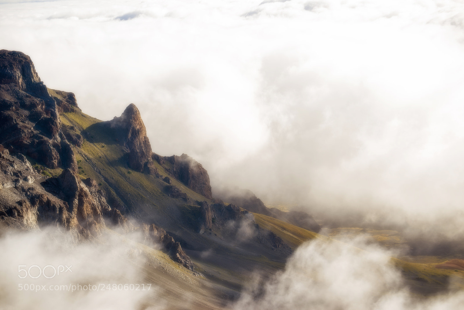 Nikon D610 sample photo. Haleakala morning fog photography