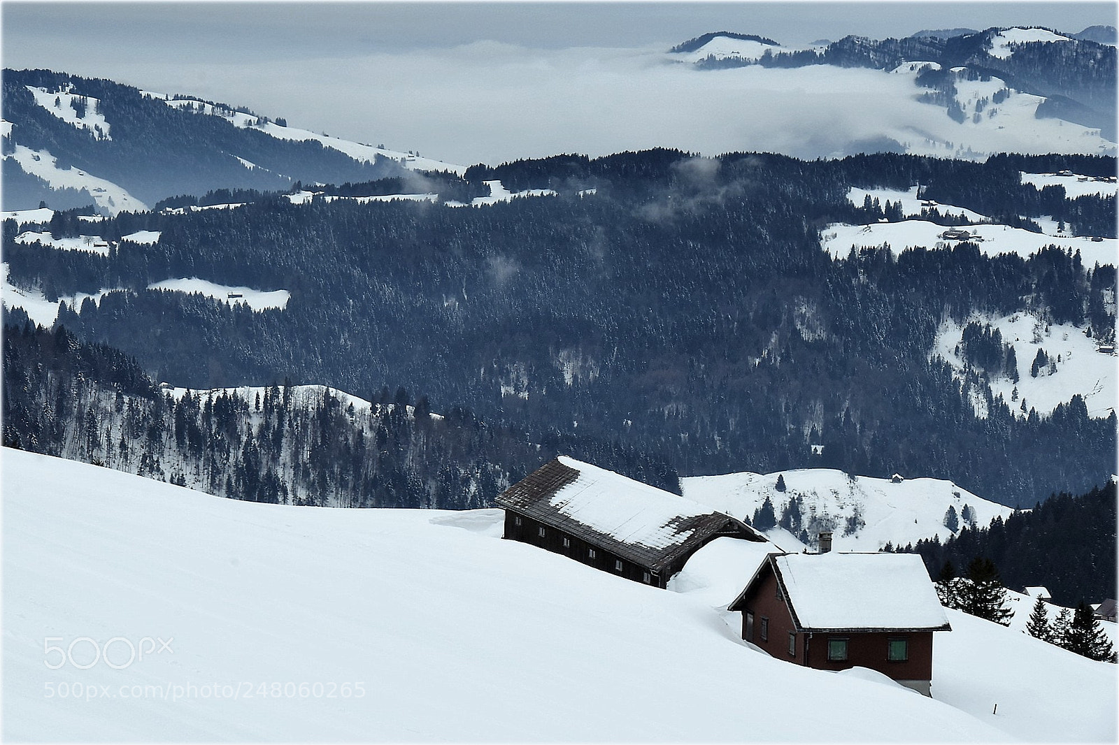 Nikon D810 sample photo. "winterscape" photography
