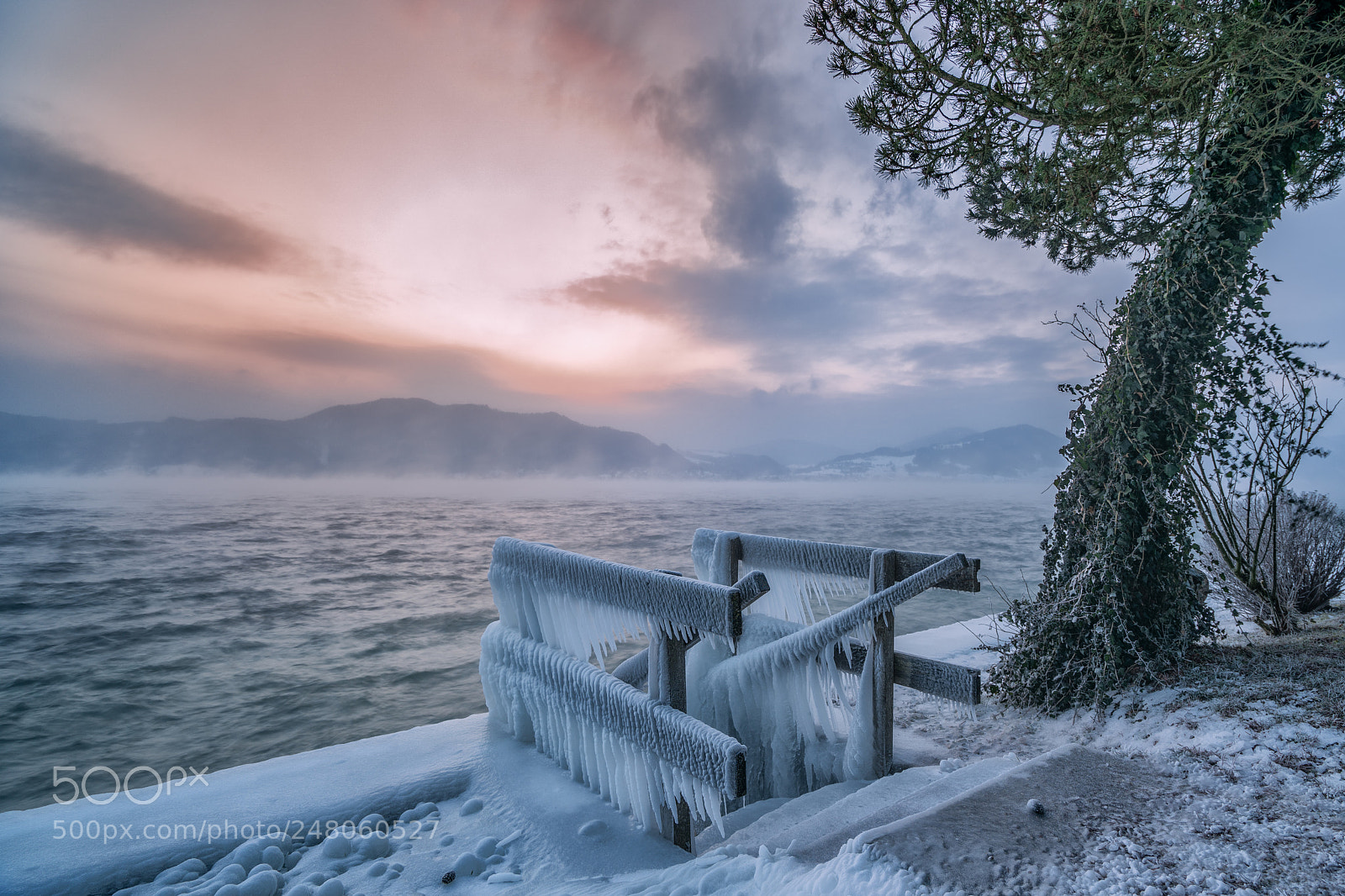 Sony a7R II sample photo. Frozen photography