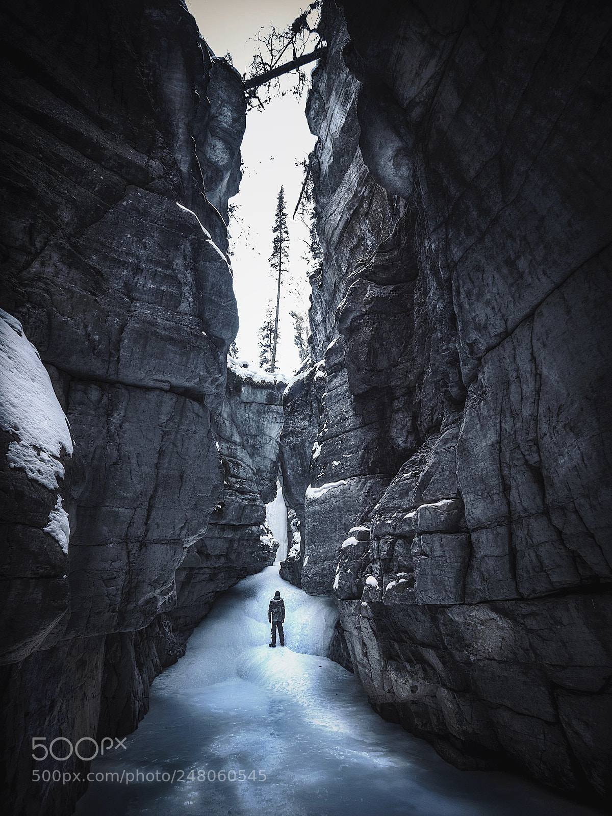Olympus OM-D E-M1 Mark II sample photo. Johnston canyon photography