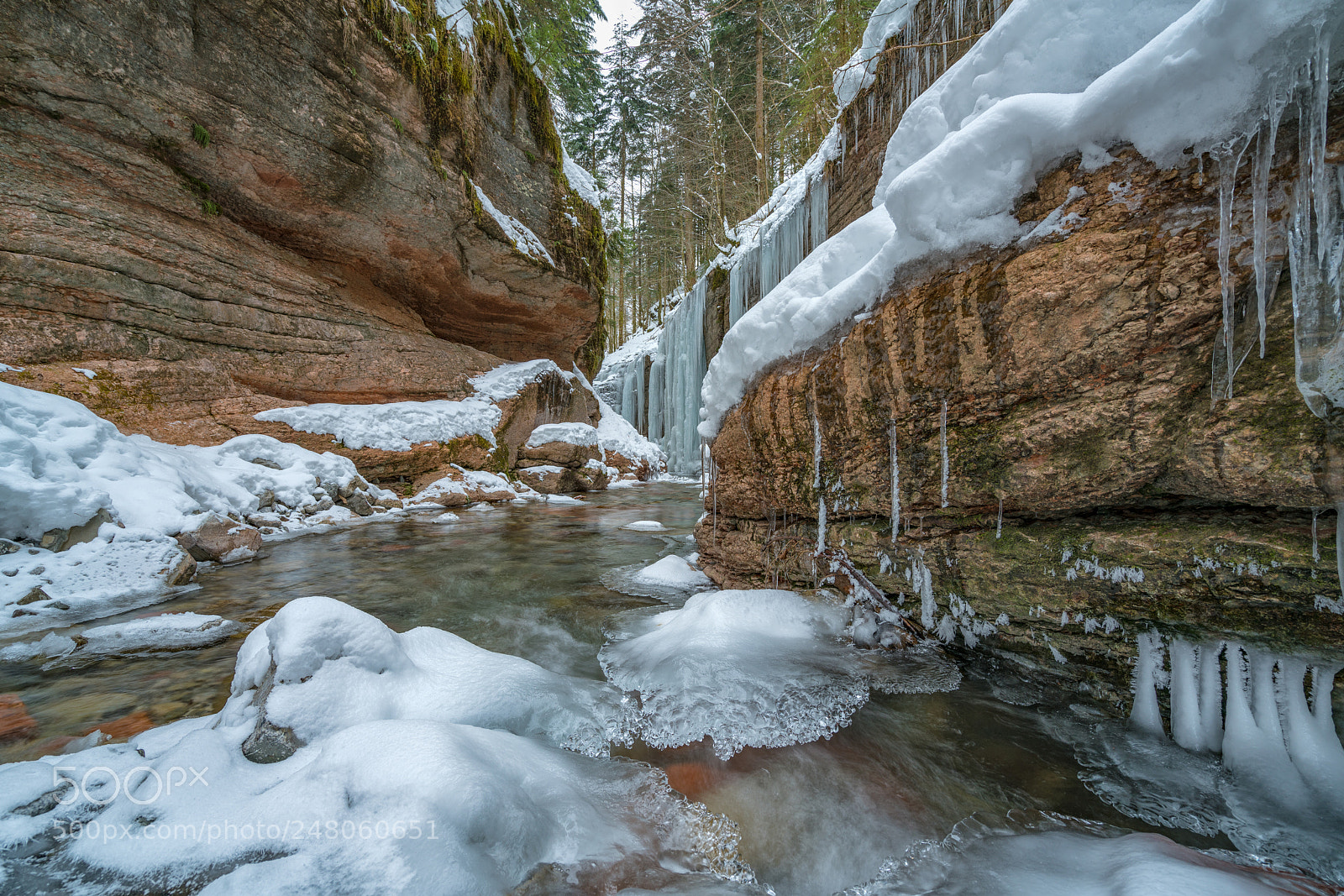 Sony a7R II sample photo. Taugl photography