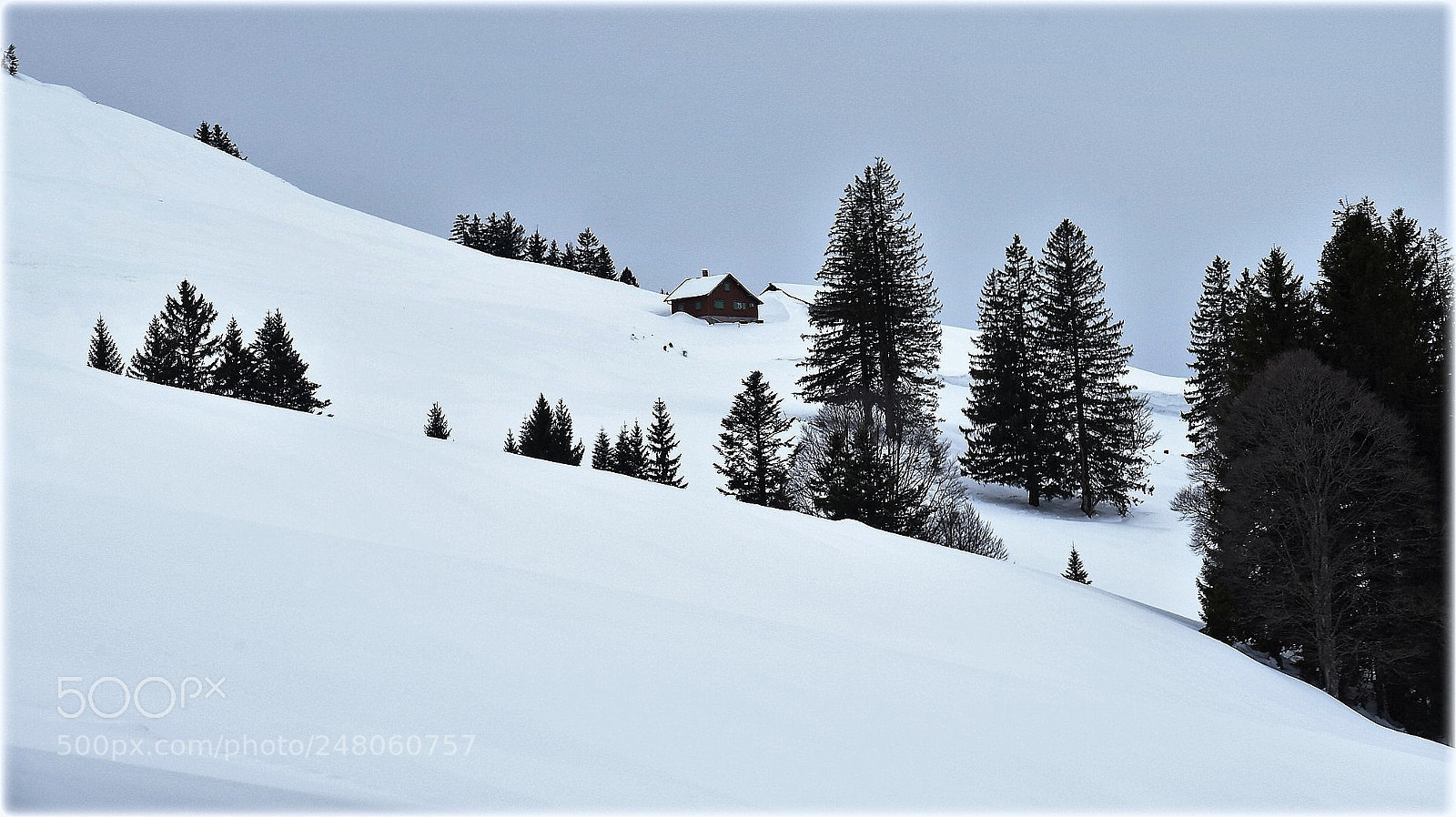 Nikon D810 sample photo. "landscape" photography