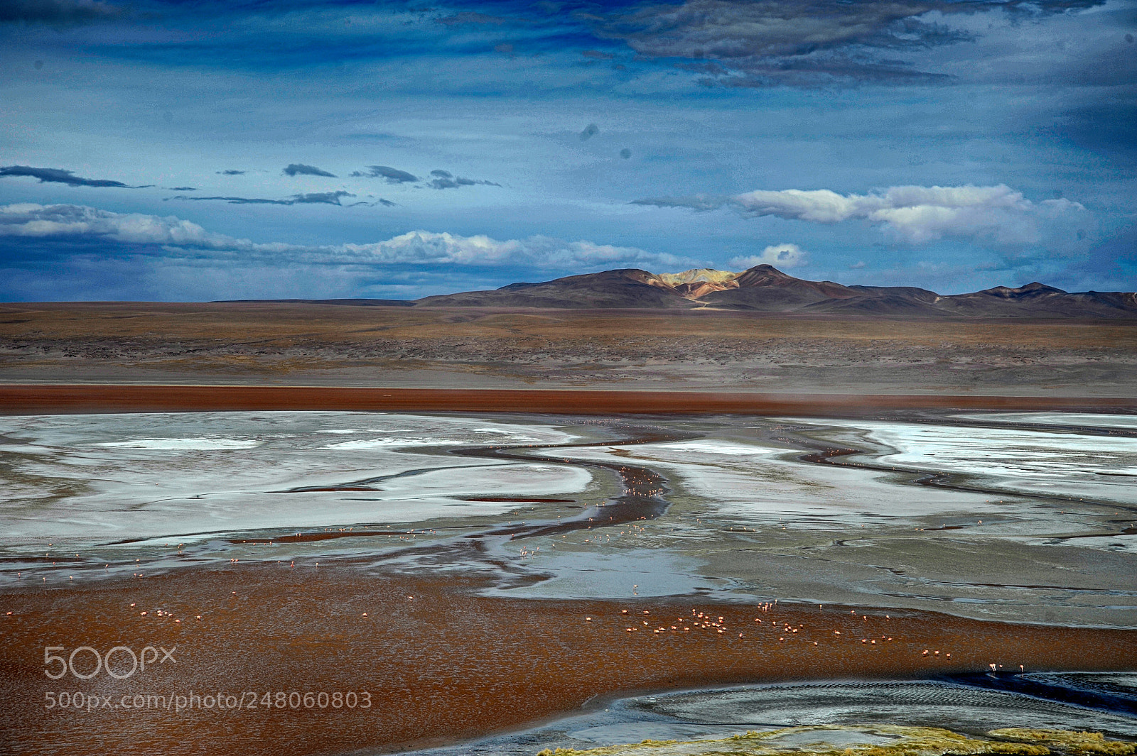 Nikon D700 sample photo. Bolivie lagune rouge photography