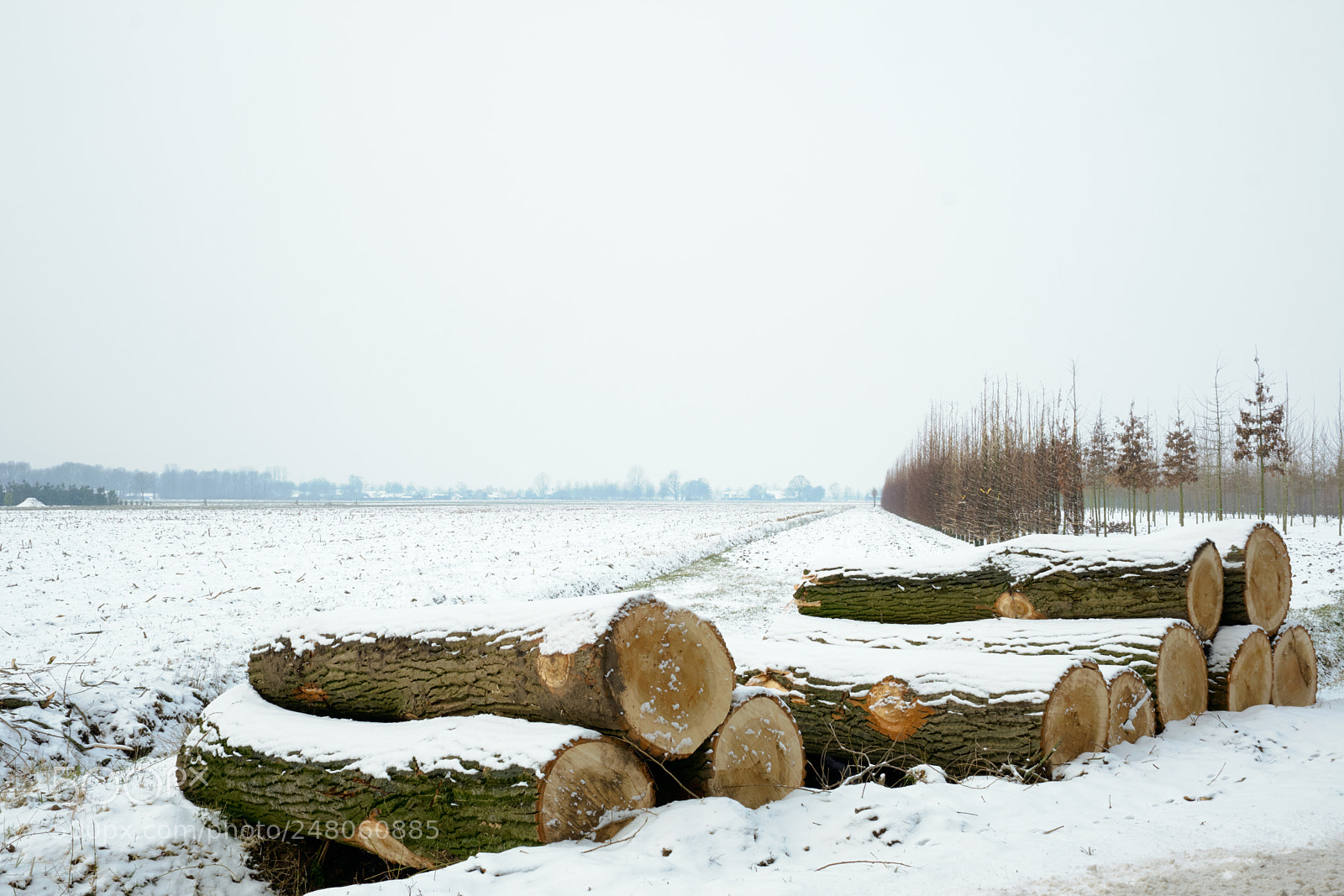 Fujifilm X-T2 sample photo. A little snow photography