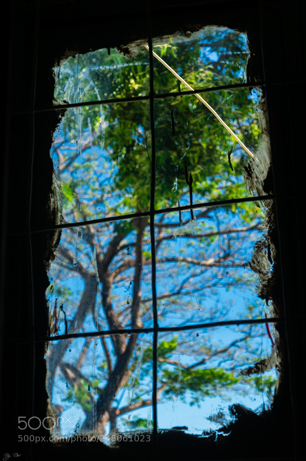 Sony Alpha NEX-6 sample photo. Freedom photography