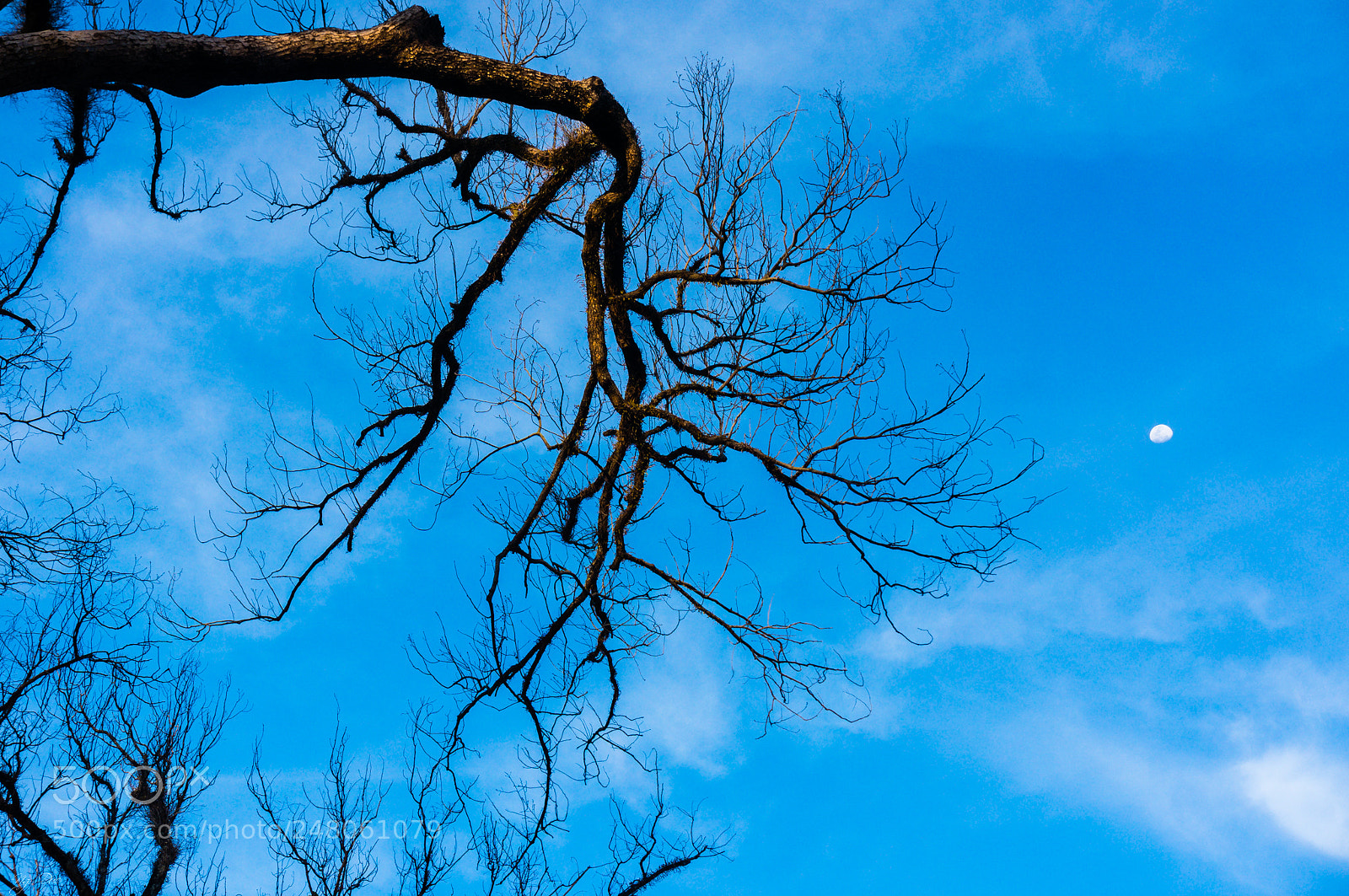 Sony Alpha NEX-6 sample photo. Moon photography