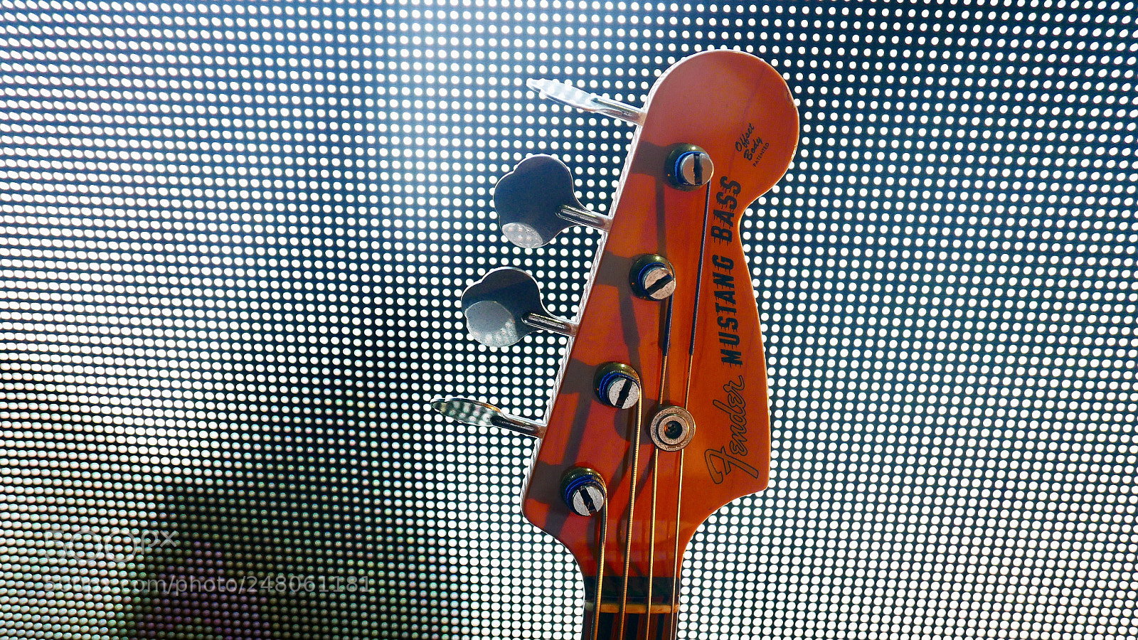 Panasonic Lumix DMC-LX100 sample photo. Untitled photography