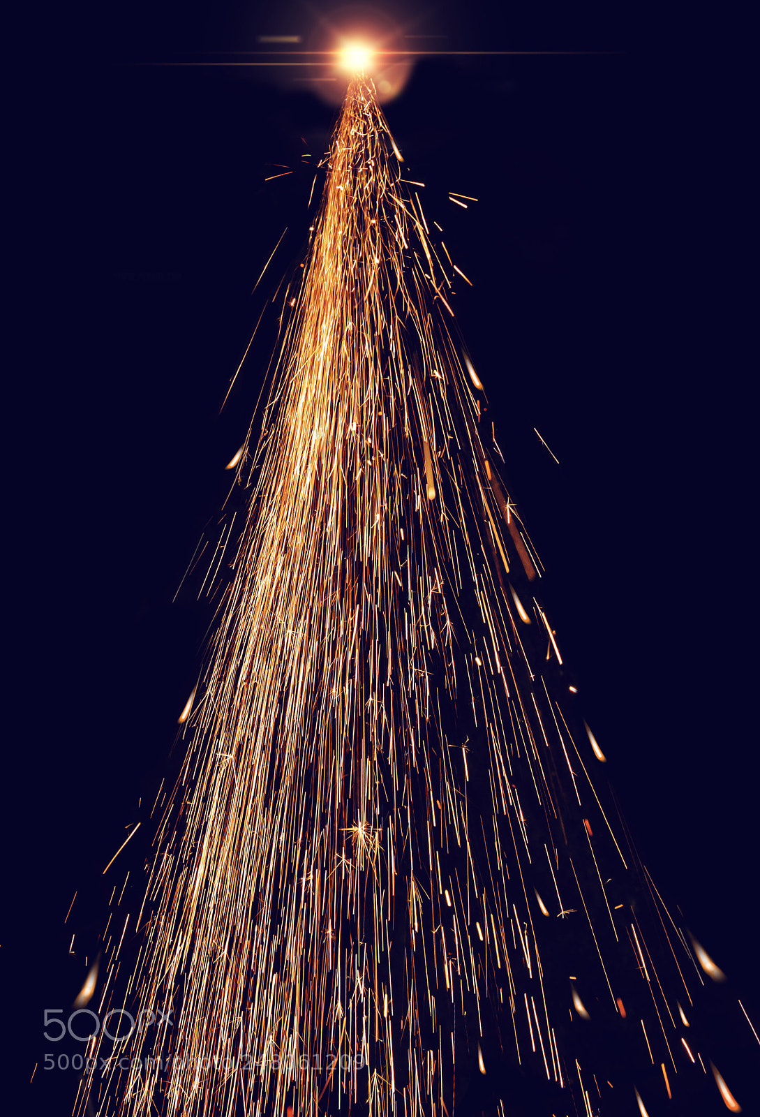 Nikon D800 sample photo. Christmas tree - christmas photography