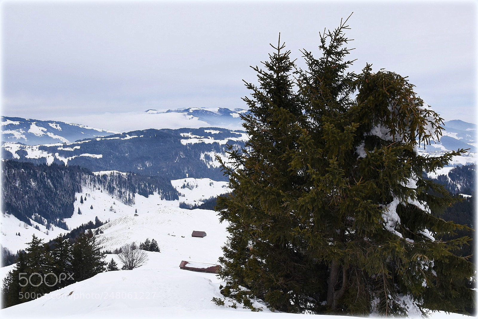 Nikon D810 sample photo. "view and landscape" photography