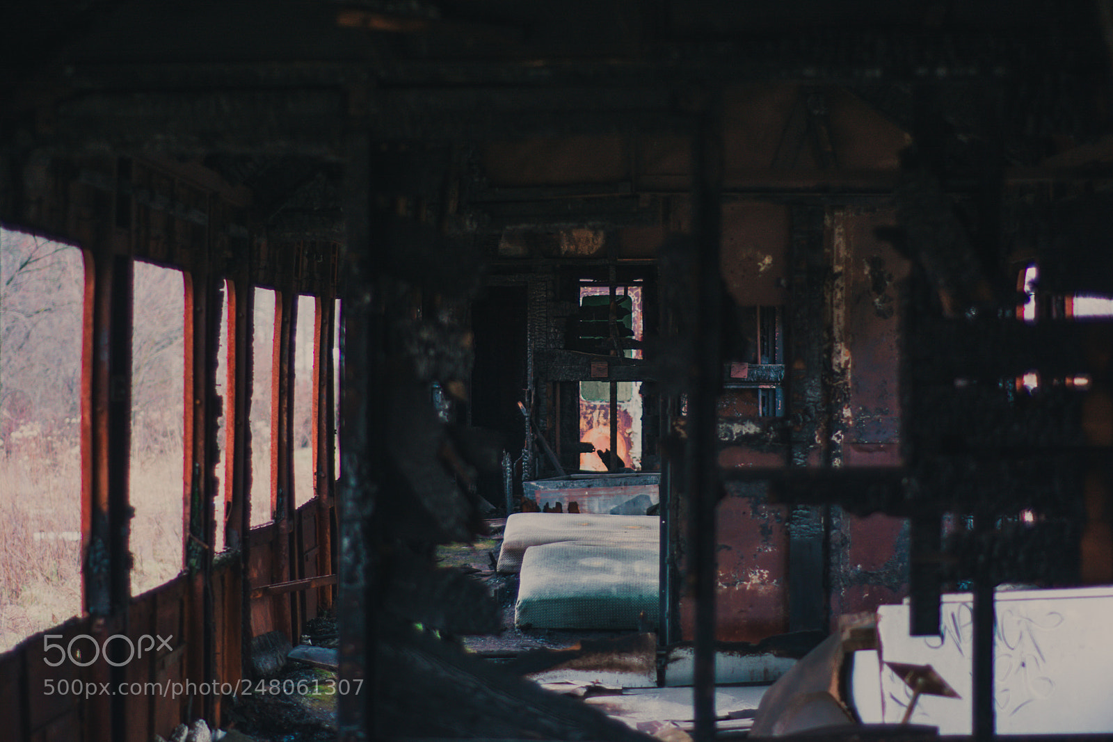 Nikon D7100 sample photo. Inside out photography