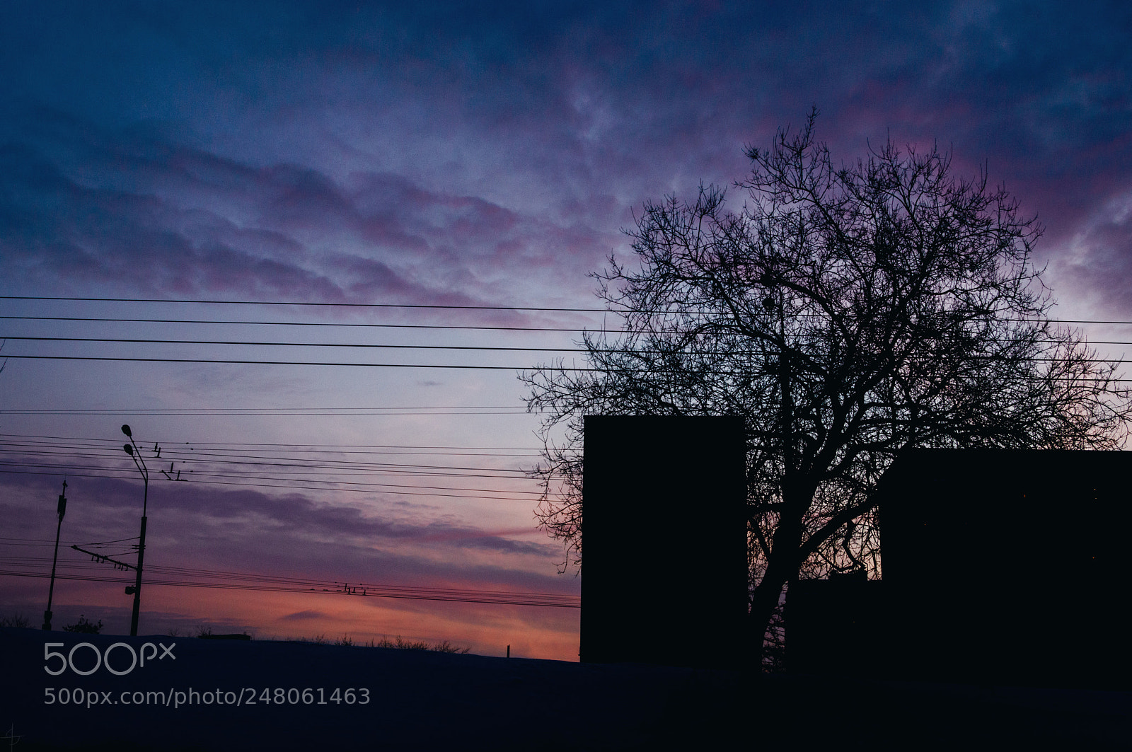 Nikon D3200 sample photo. Voika photography