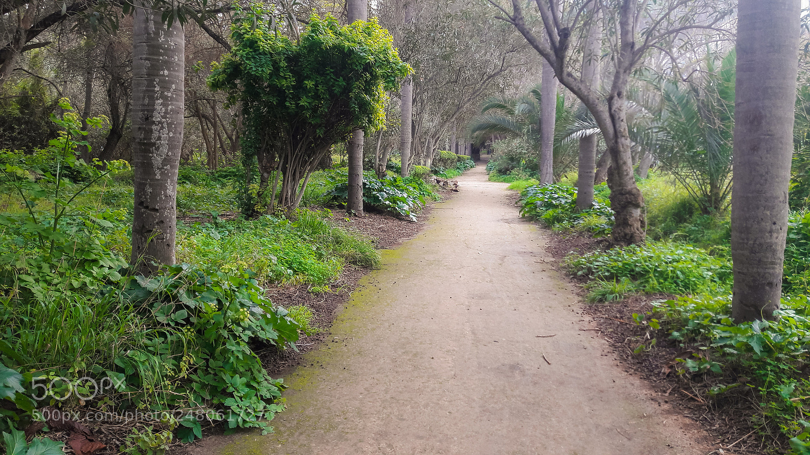 Samsung Galaxy A5(2016) sample photo. Garden photography