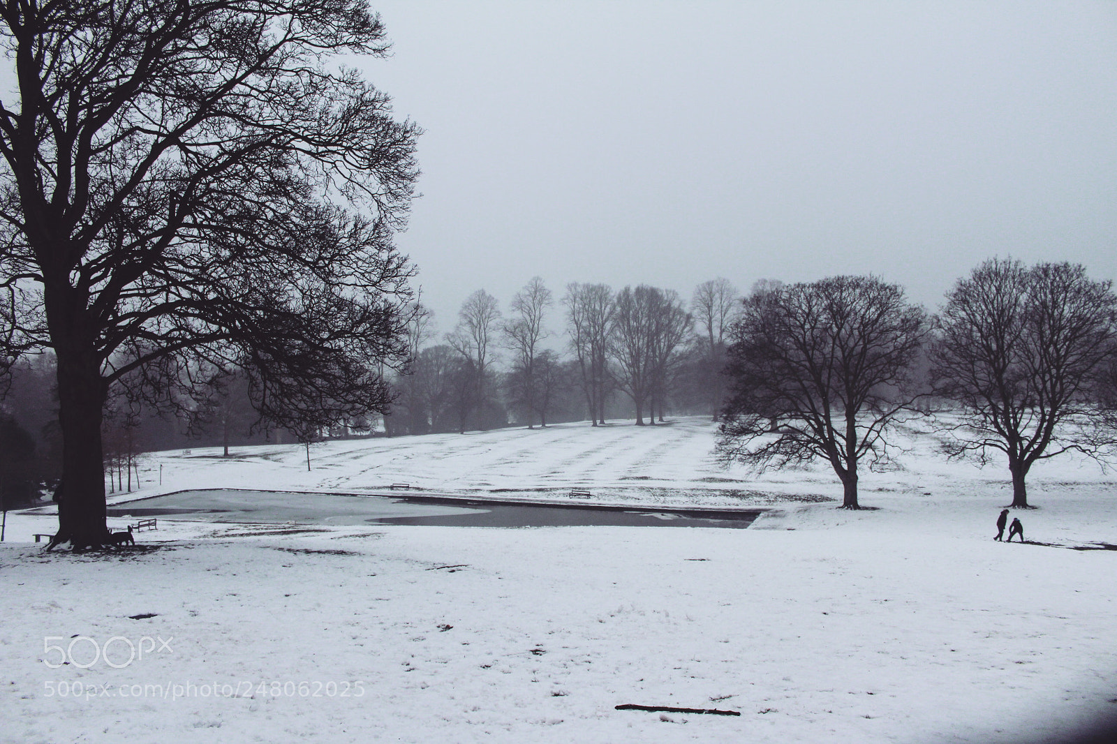 Canon EOS 1300D (EOS Rebel T6 / EOS Kiss X80) sample photo. Unexpected snow day photography
