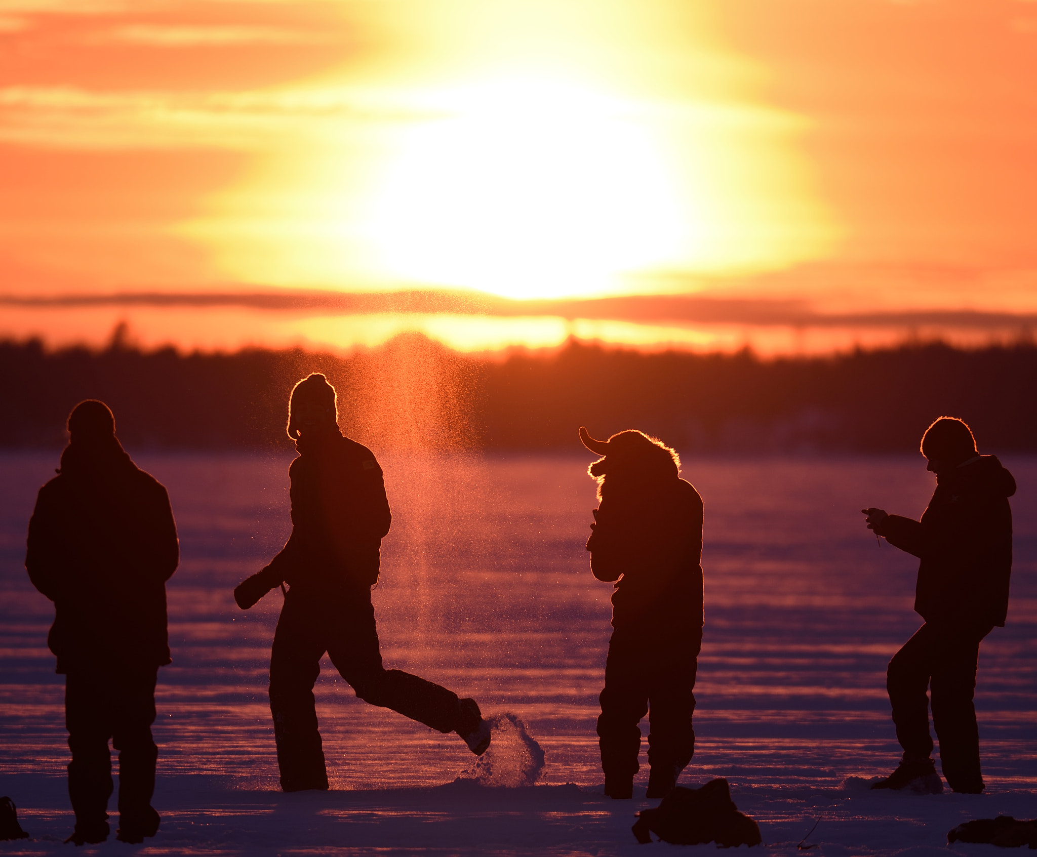 Sigma 150-600mm F5-6.3 DG OS HSM | S sample photo. Gold dust out of snow photography