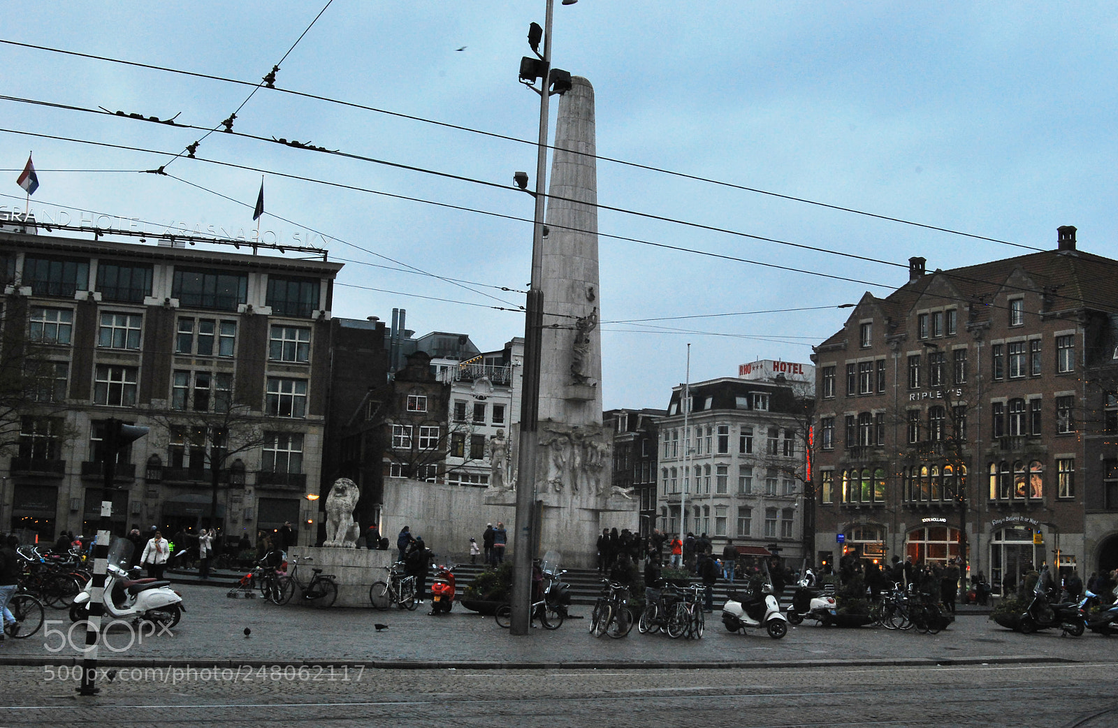 Nikon D60 sample photo. Untitled photography
