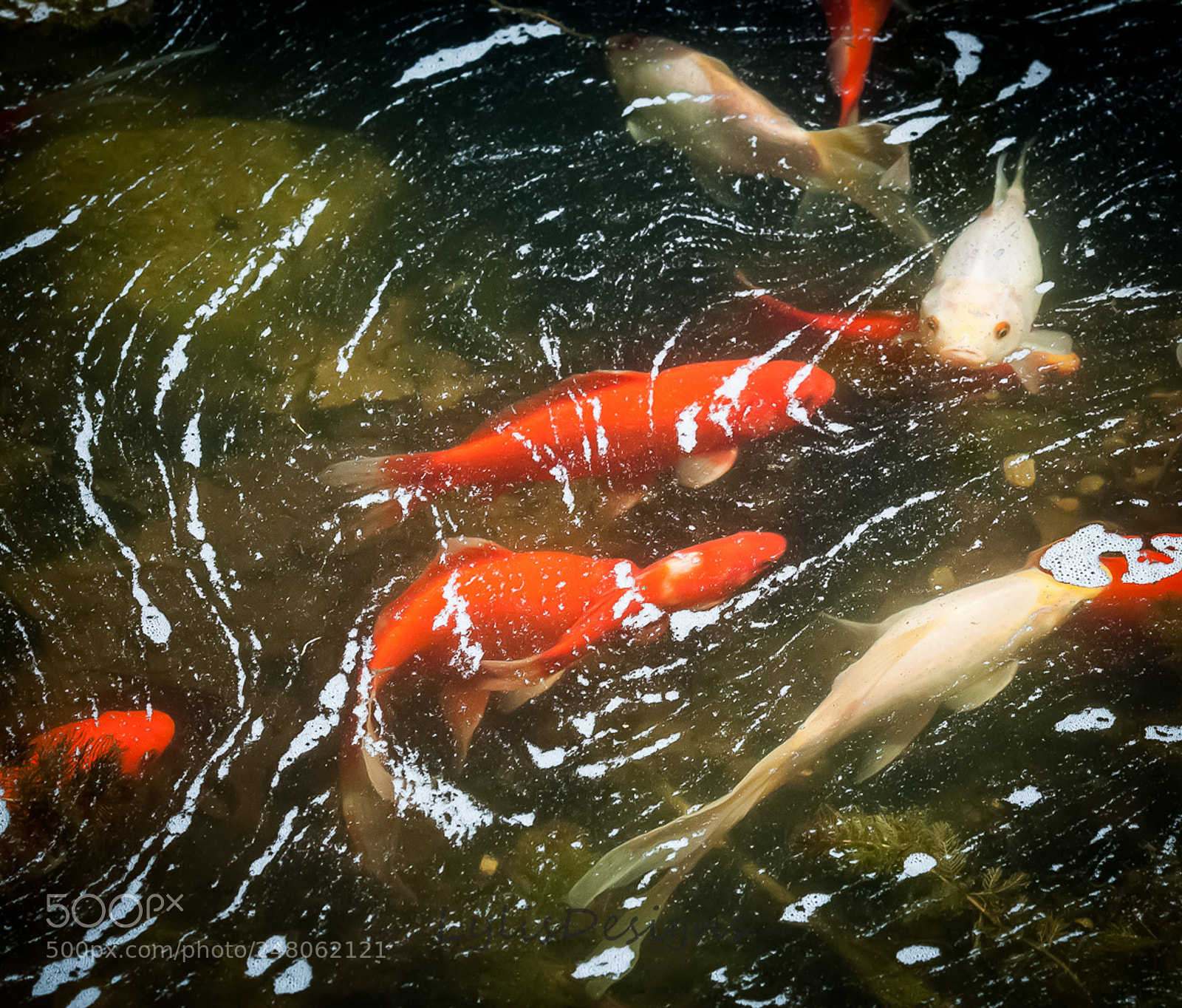Nikon D200 sample photo. The shape of water photography