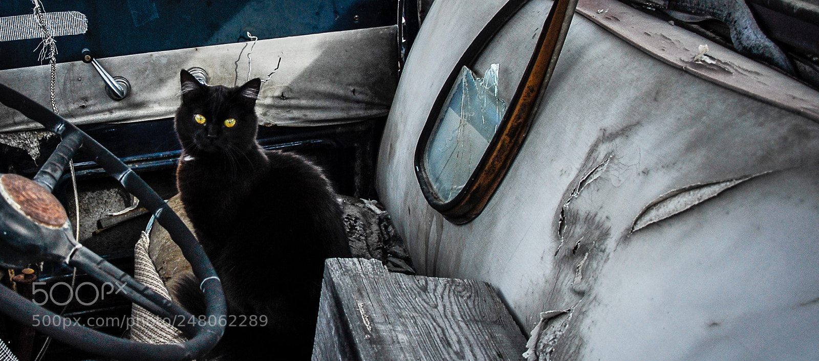 Nikon D200 sample photo. Lets go driving... photography