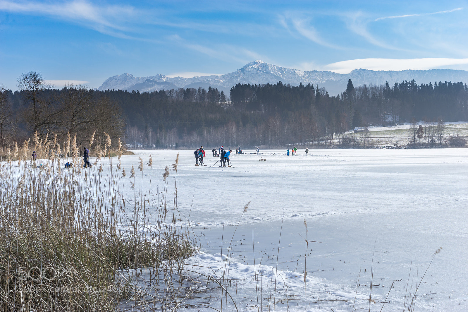 Sony a7 II sample photo. On the frozen winter photography