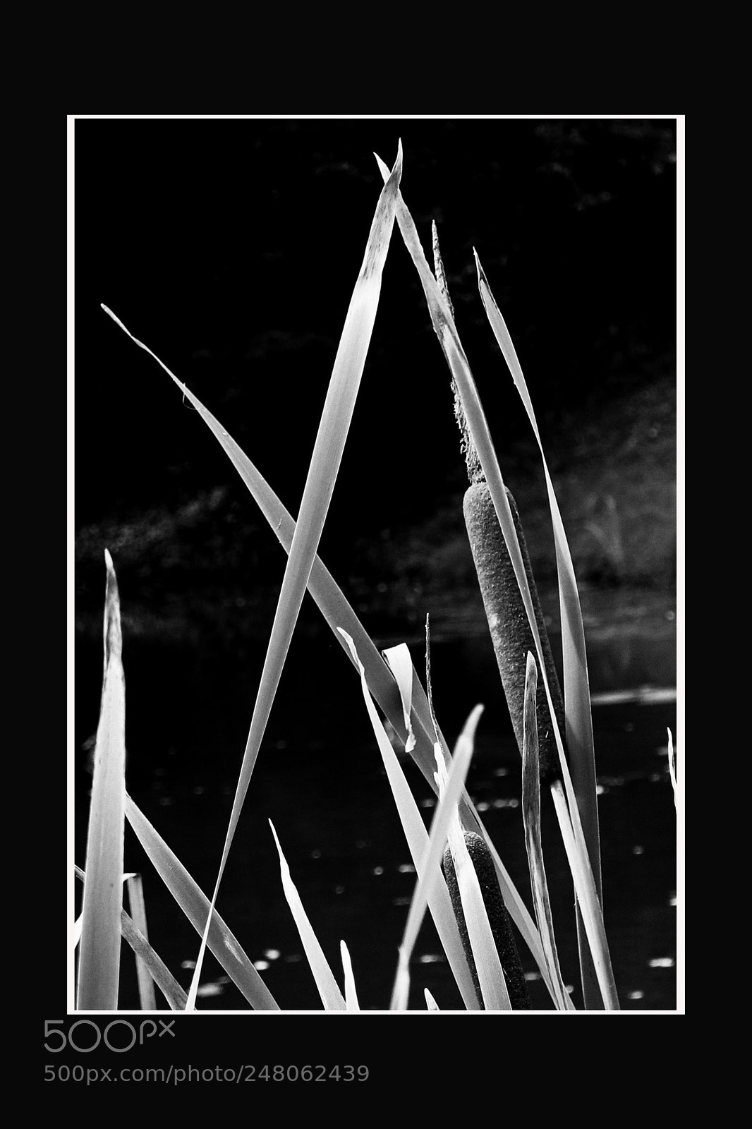Canon PowerShot G12 sample photo. Rohrbombe photography