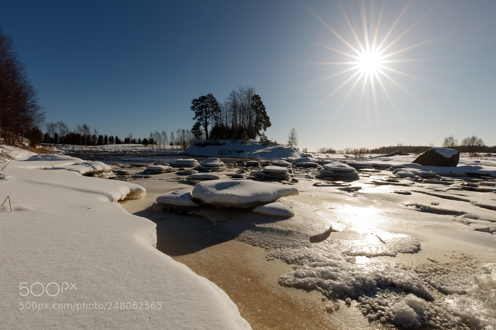 Canon EOS 5DS sample photo. Feverish and sunny photography