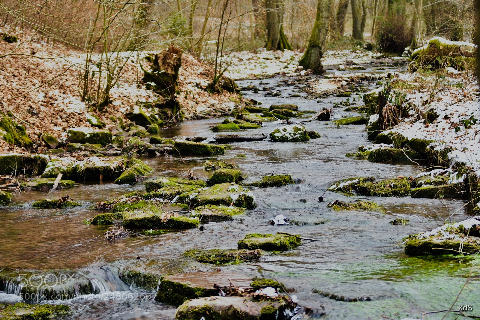 Nikon D3400 sample photo. Untitled photography