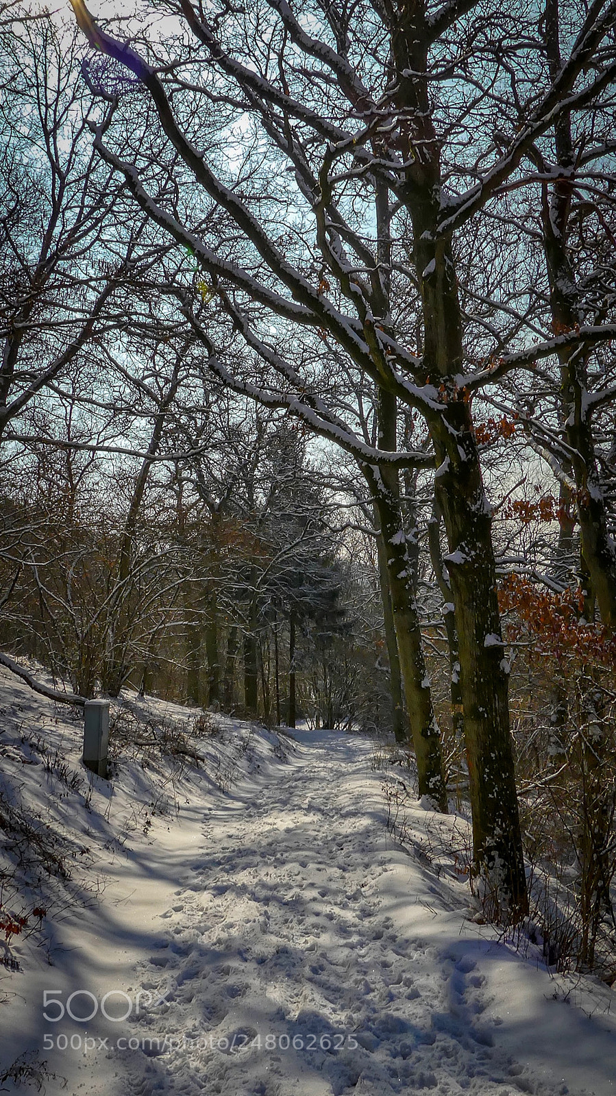 Panasonic Lumix DMC-FZ300 sample photo. Last winter break... photography