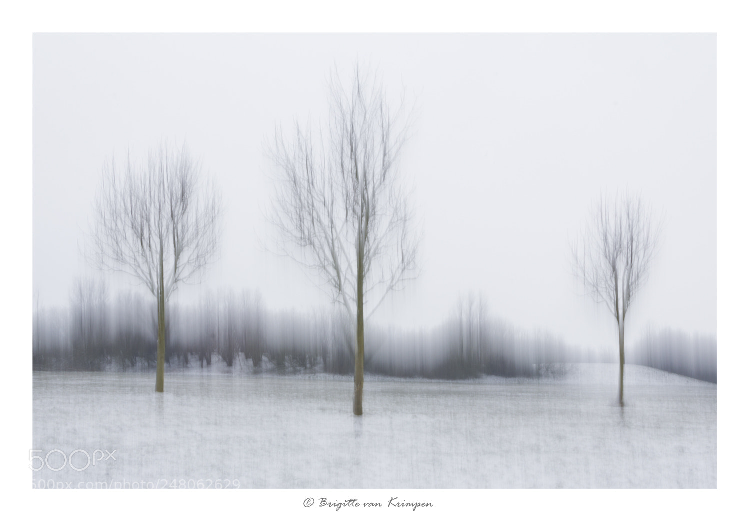 Canon EOS 60D sample photo. Pale shades of white photography