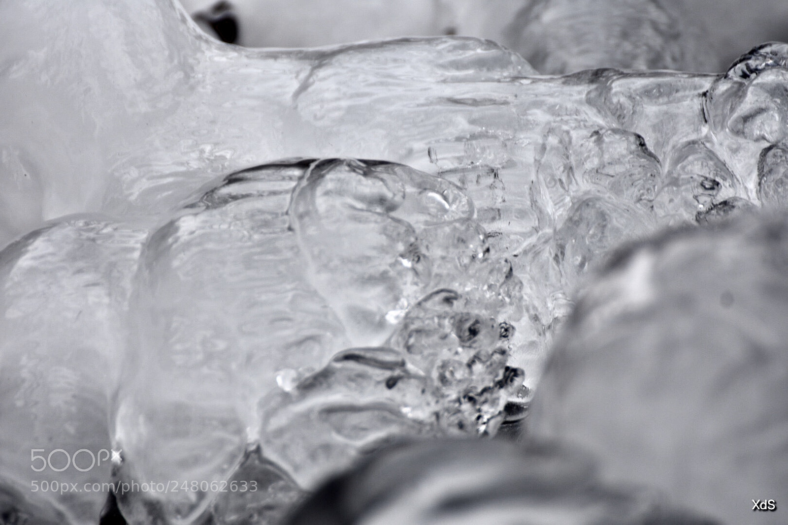 Nikon D3400 sample photo. Untitled photography