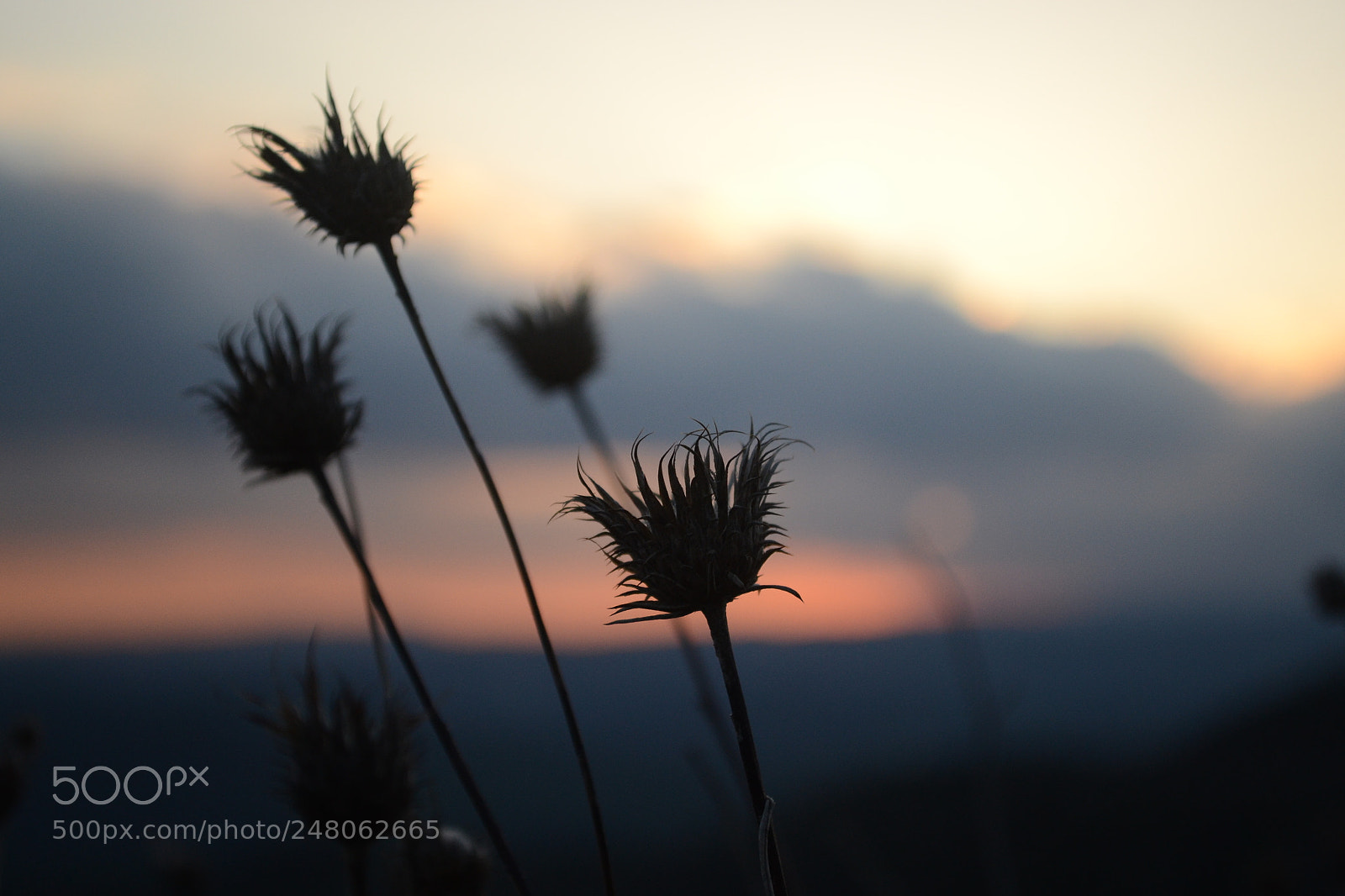 Nikon D3100 sample photo. Stavrovouni sunset photography