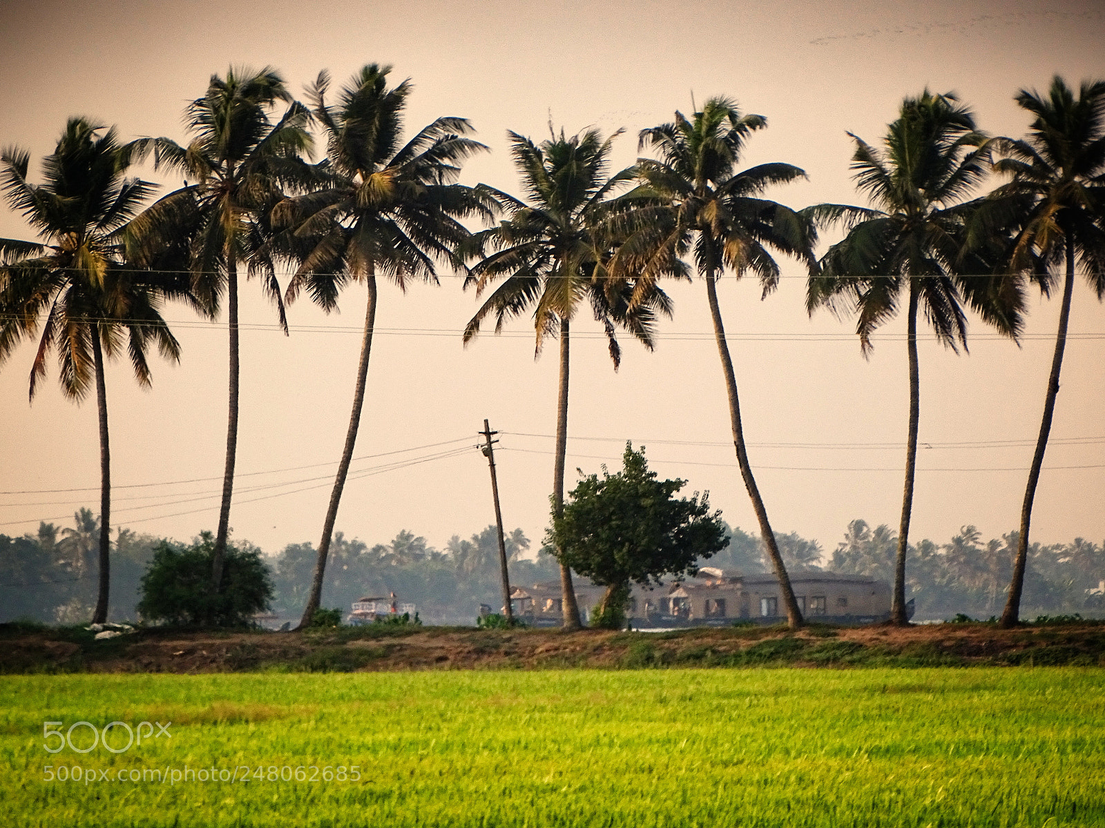 Sony Cyber-shot DSC-HX400V sample photo. Typical kerala scenery photography
