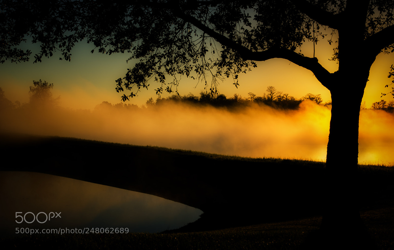 Nikon D7100 sample photo. Florida fog photography